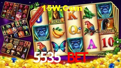 5535 Bet Salvador - Promo Stats